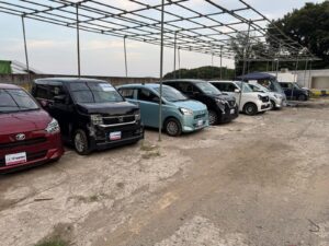 WhatsApp Image 2026-01-21 at 17.00.42