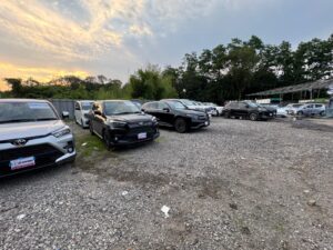 WhatsApp Image 2026-01-21 at 17.02.01